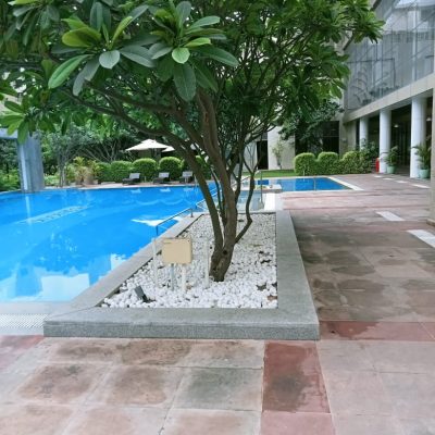 WhatsApp Image 2024-07-31 at 2.10.35 PM