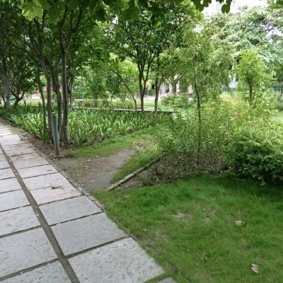 WhatsApp Image 2024-07-31 at 2.10.36 PM (1)