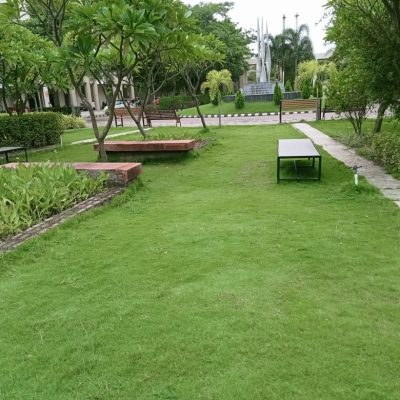 WhatsApp Image 2024-07-31 at 2.10.36 PM